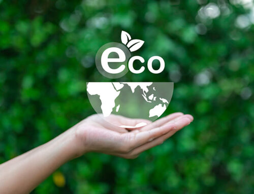 Eco-Friendly Cleaning: Safe Products for Your Family